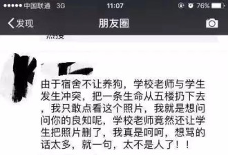 北京一高校学生收留流浪狗 宿管将狗从5楼扔下