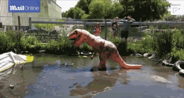 真作死！动物园人员扮成霸王龙与鳄鱼争食