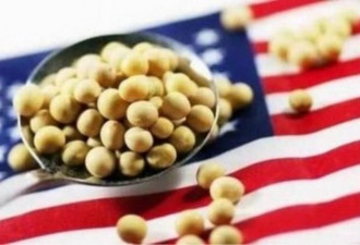 中国官媒：已取消61.5万吨美国大豆订单