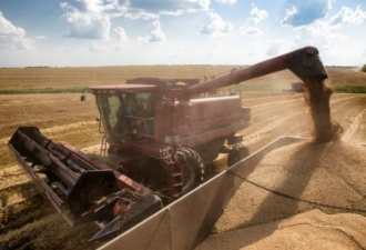美国小麦也要凉 中国进口转向&quot;一带一路&quot;国家