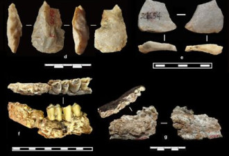 考古新发现：212万年前，黄土高原已现人迹