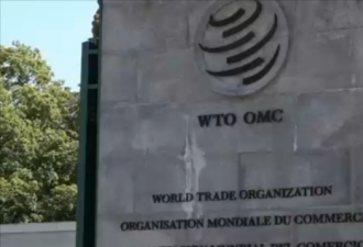 中国在WTO吁对抗美&quot;霸凌&quot; 自身政策被聚焦