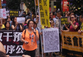 香港大游行 抗议司法覆核 政党责行政干预立法