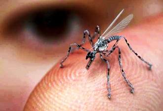 美军昆虫间谍项目曝光  在蛾体内植入电子设备