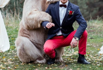 别出心裁！俄罗斯新人请267斤灰熊做婚礼证人