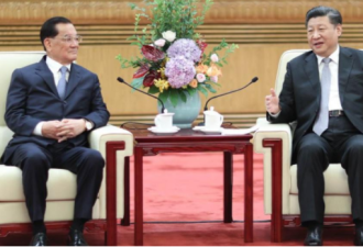国民党前主席连战访问中国与习近平会见