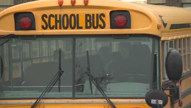 Newfoundland school bus