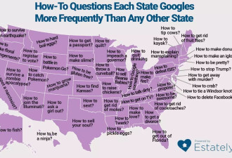热帖：让谷歌告诉你美国人每天都在搜些啥