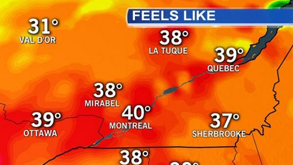 “quebec heat”的图片搜索结果