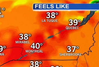 最新数据：魁省上周高温致死90人 多是公寓居民