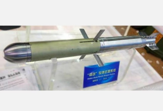 华最小防空导弹曝光 仅4千克专打无人机
