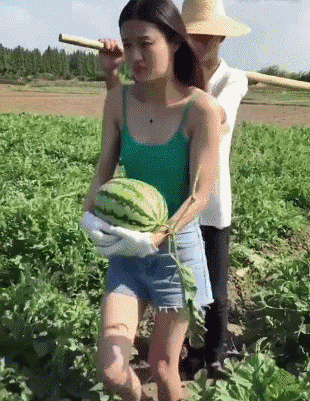 真是吃瓜群众！中国人吃掉世界70%的西瓜