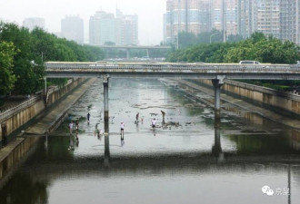 北京的大雨过后，一群人在护城河里捞鱼