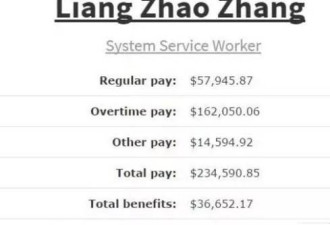 中国人在美国扫个地年薪182万，老外都炸了！