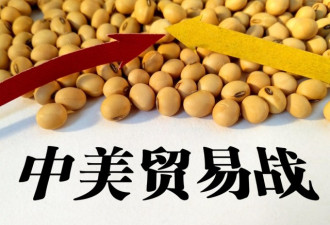 美商务部长展望贸易战解决进程 大豆成催化剂