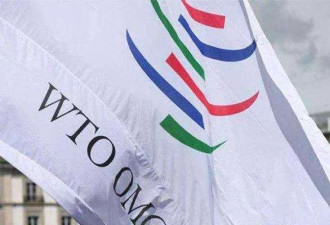 美国提案&quot;重新审查中国WTO成员国身份&quot;遭否决