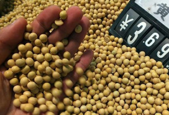 中国政府控制豆价赢了&quot;面子&quot;却输了&quot;里子&quot;