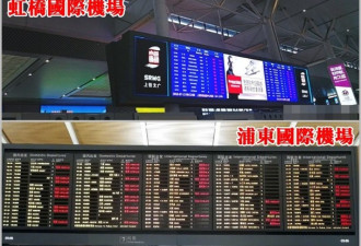 上海520航班料取消   轮渡全部停航