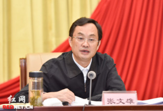 湖南省委常委、宣传部长张文雄被查