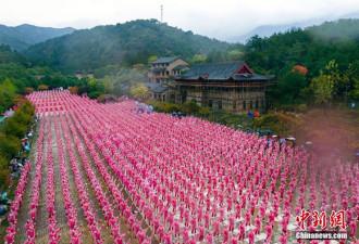 14城市5万余人同跳广场舞 挑战吉尼斯纪录