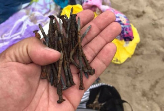 安省沙滩发现百余枚生锈铁钉