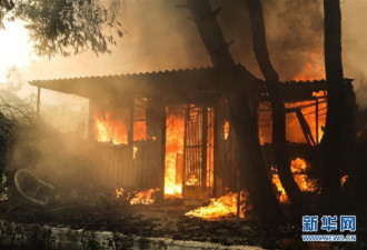 希腊雅典附近发生森林火灾 上千人撤离