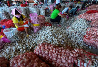 外媒称中国蒜价飙升85%：投机人士又嗅到钱味