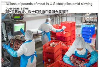 关税大棒打到自己 20多亿斤肉堆在美仓库