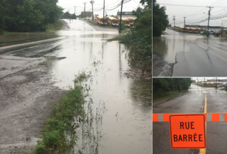 渥太华洪水 大雨导致道路被雨水覆盖