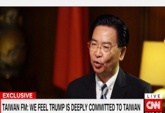 台外交部长受CNN专访 “武统论”呼之欲出