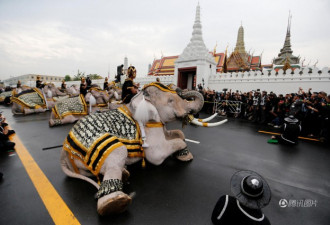 泰国大象悼念国王普密蓬 行叩拜礼