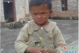 热帖:8岁网红“小马云”的命运即将改变了？