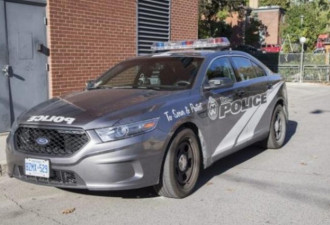 多伦多市府有意见 警察总长决定停用新灰色警车