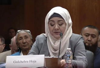 新疆人权危机严重，美国国会听证调查