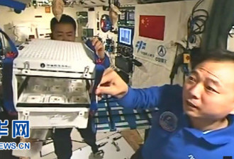中国人首次太空当&quot;菜农”栽培装置部分3D打印