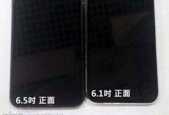 苹果6.5英寸/6.1英寸iPhone 11/9机模曝光