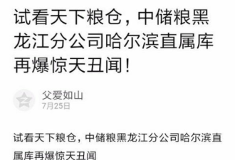 中储粮哈尔滨粮库爆丑闻 玉米掺泥沙