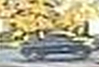 士嘉堡司机撞老人不顾而去 警方寻人