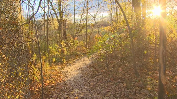 Marie Curtis Park