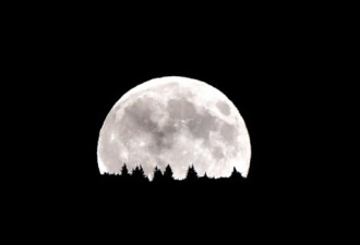 11月14日看超级大月亮：高峰时间凌晨6时半
