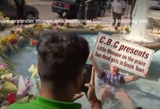 男子举反伊斯兰牌现身多伦多希腊城 被推喷水池