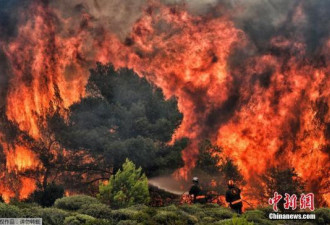 希腊森林大火致91人死 犯罪行为或为火灾肇因