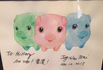 蔡英文：有信心和特朗普合作 使关系更进一步