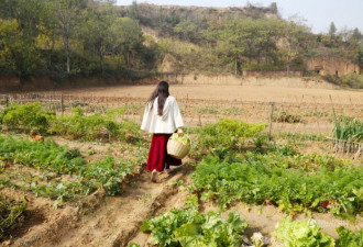 80后姑娘弃城市百万住房 回农村种地住窑洞