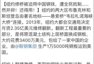 韦拉札诺海峡大桥修缮使用中国钢铁 曾遭抵制