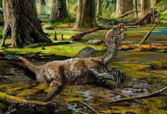 外媒:中国江西发现恐龙新品种“泥潭通天龙”