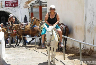 肥胖游客越来越多 爱琴海的驴遭不住了！