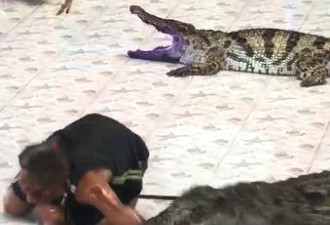 危险！泰国驯兽师表演时突然被鳄鱼咬住胳膊