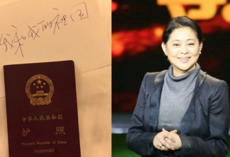 中国央视前名嘴倪萍出售美国豪宅 移民陷罗生门