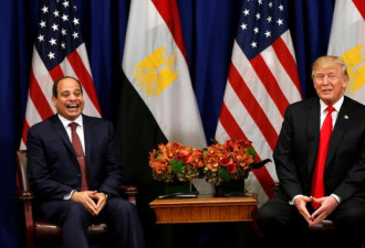 30年总额800亿美元！美国恢复对埃及军事援助